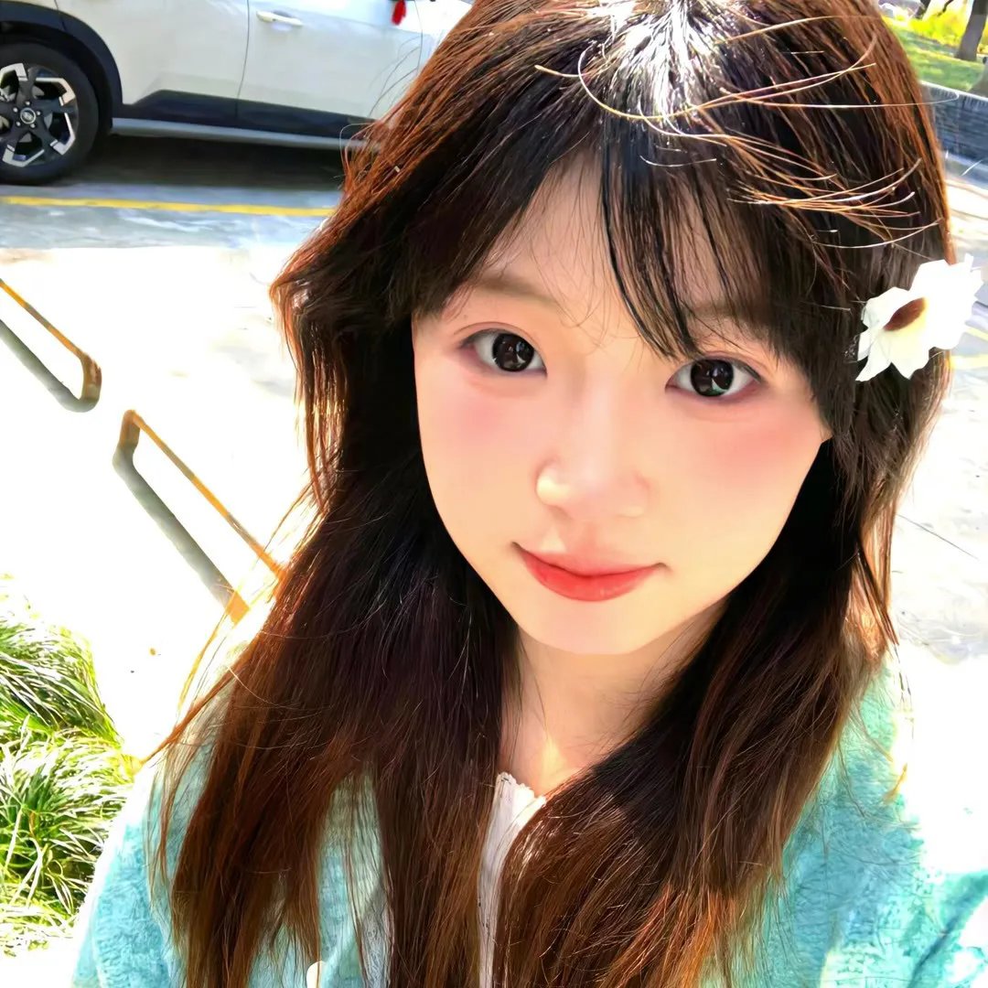 圣兽